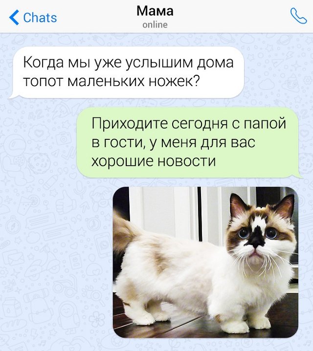 Когда надоели назойливые вопросы, на помощь приходит юмор (16 фото)