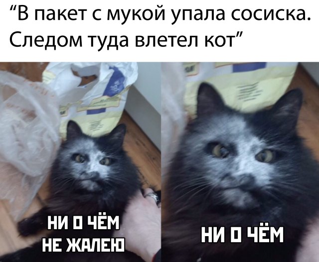Подборка прикольных фото (65 фото)
