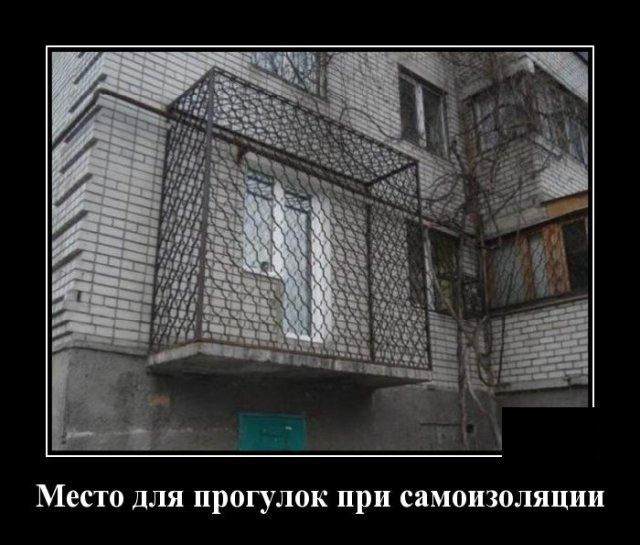 Демотиваторы №2352 (20 фото)