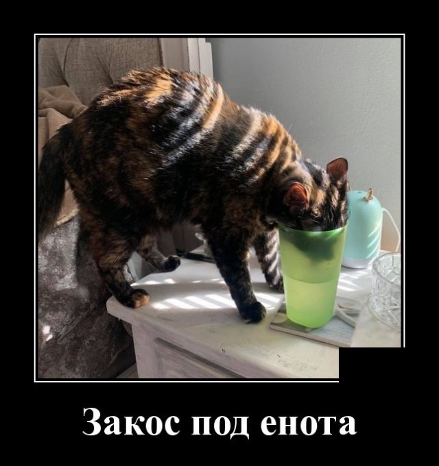 Демотиваторы (20 фото)