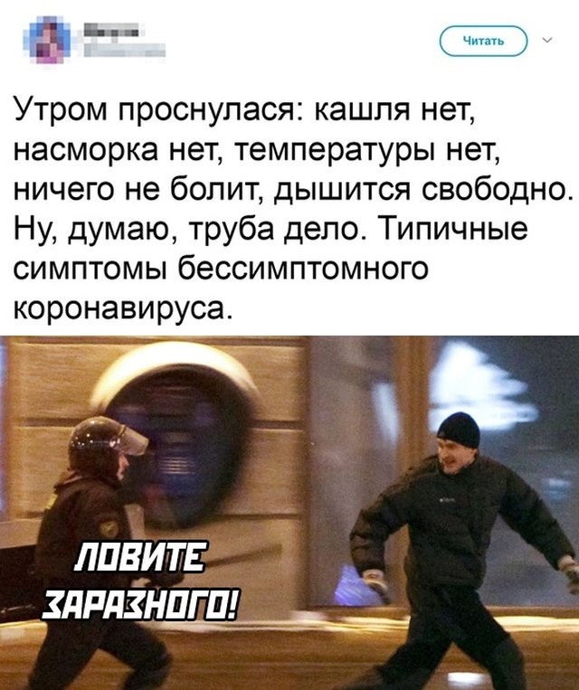 Подборка прикольных фото (65 фото)
