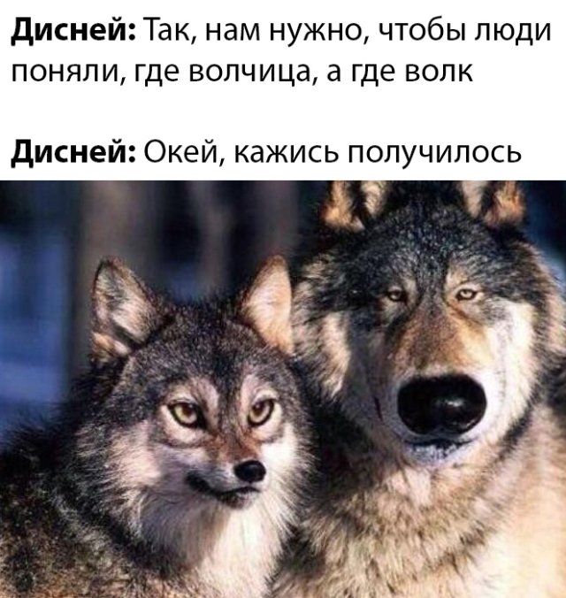 Подборка прикольных фото (66 фото)