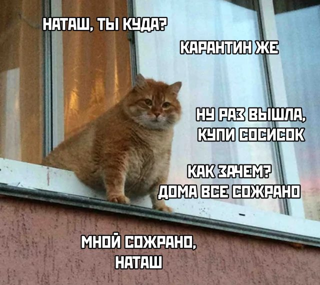 Подборка прикольных фото (65 фото)