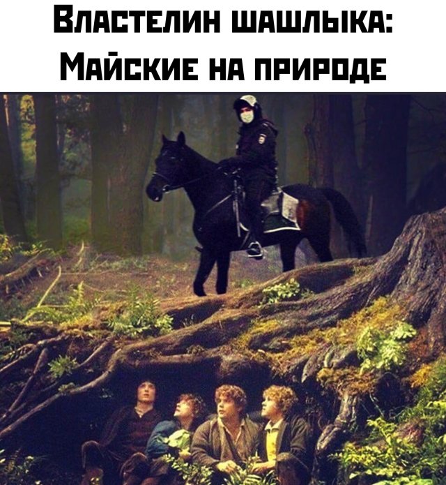 Подборка прикольных фото (66 фото)