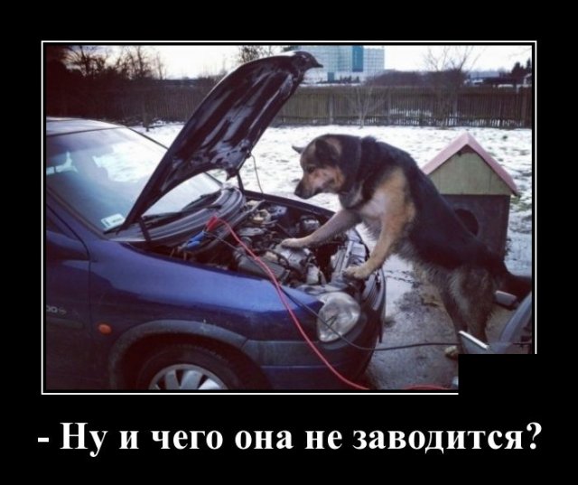 Демотиваторы (20 фото)