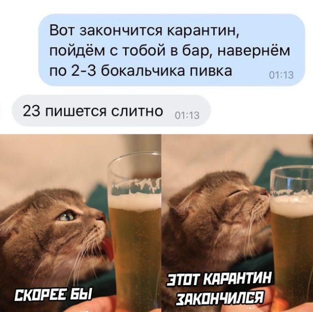 Подборка прикольных фото (68 фото)