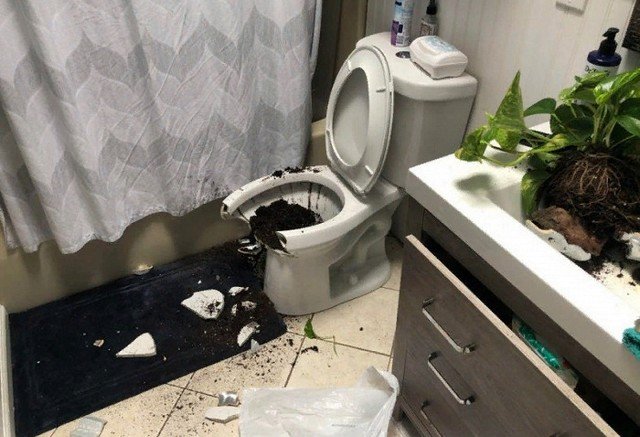 Забавные ситуации, которые произошли с людьми на карантине (10 фото)