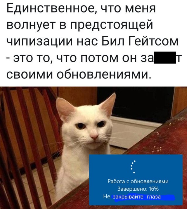 Подборка прикольных фото (65 фото)