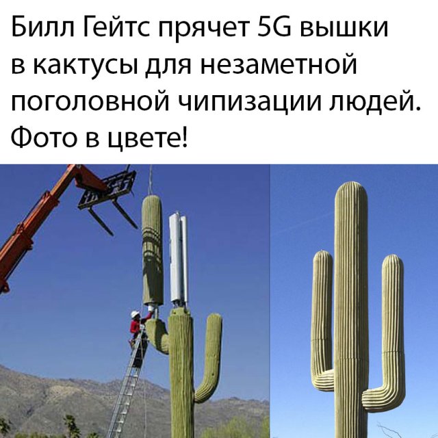 Подборка прикольных фото (62 фото)