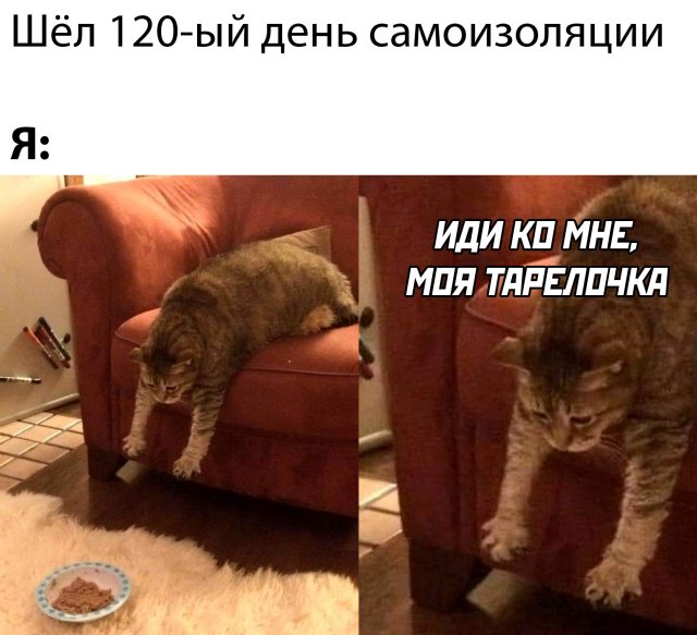 Подборка прикольных фото (66 фото)