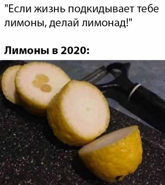 Подборка прикольных фото (68 фото)