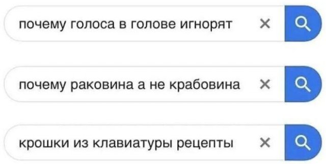 Безумные и спешные запросы, которые делают пользователи (15 фото)