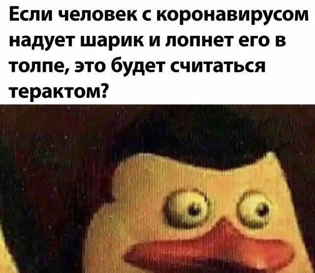 Шутки и юмор про последний звонок, карантин и удаленку (17 фото)