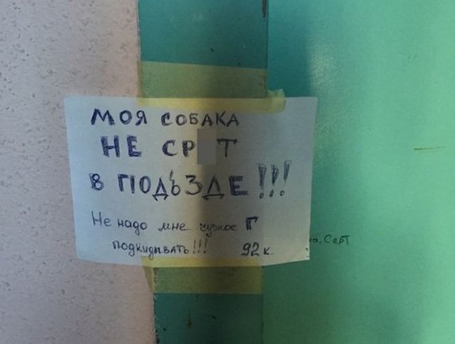 Соседские войны: когда с соседями действительно не повезло (15 фото)