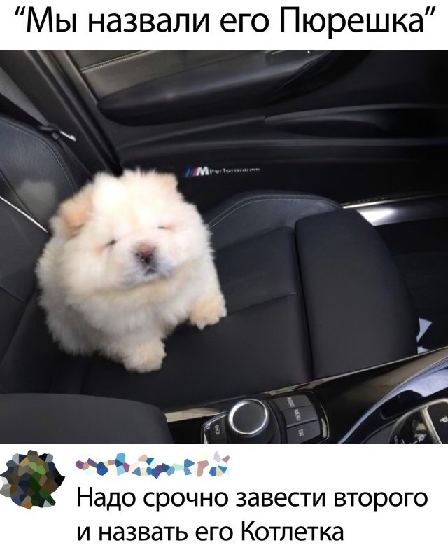 Подборка прикольных фото (63 фото)