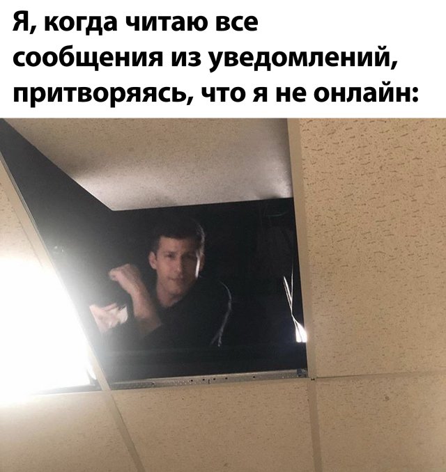 Подборка прикольных фото (63 фото)