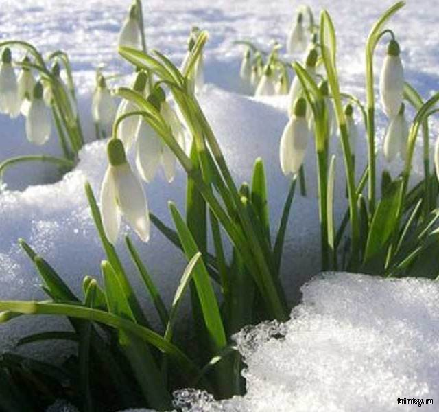 Что означают названия месяцев? (16 фото)