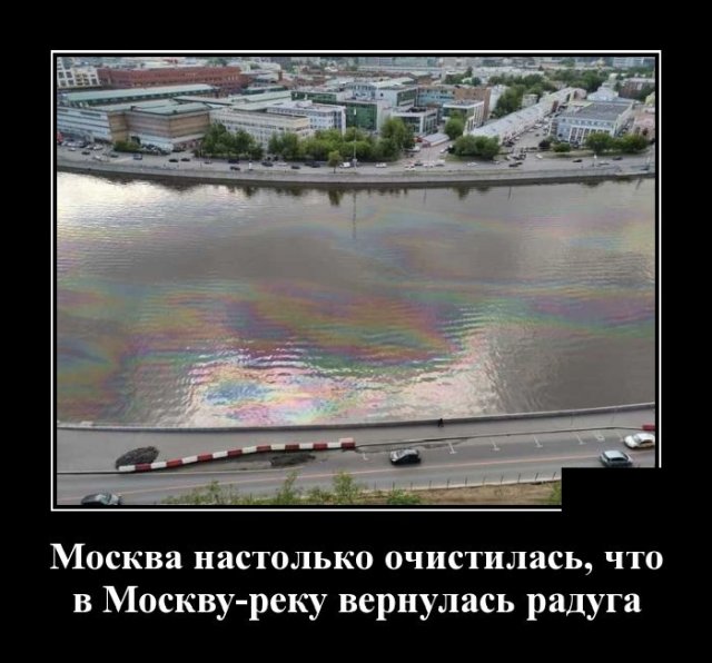 Демотиваторы №2379 (20 фото)
