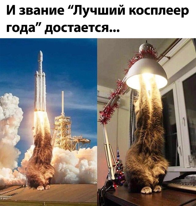 Подборка прикольных фото (63 фото)