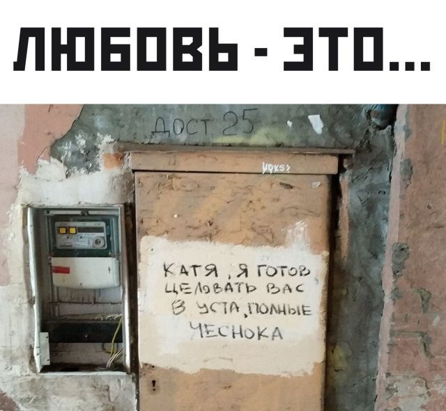 Подборка прикольных фото (62 фото)