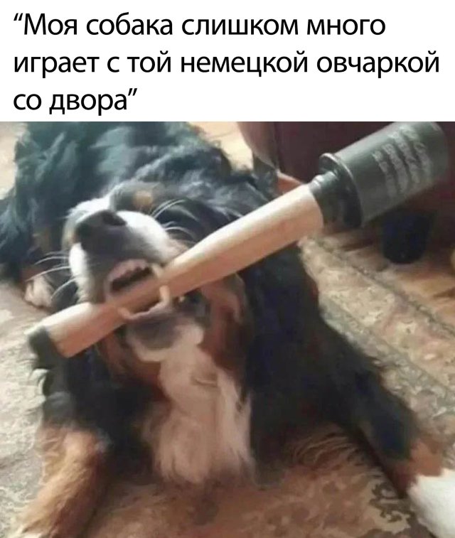 Подборка прикольных фото (62 фото)