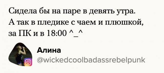 Пользователи о том, что они делали, "если бы не все это" (19 фото)