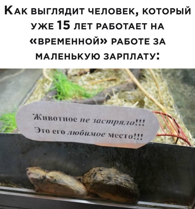 Подборка прикольных фото №2386 (63 фото)