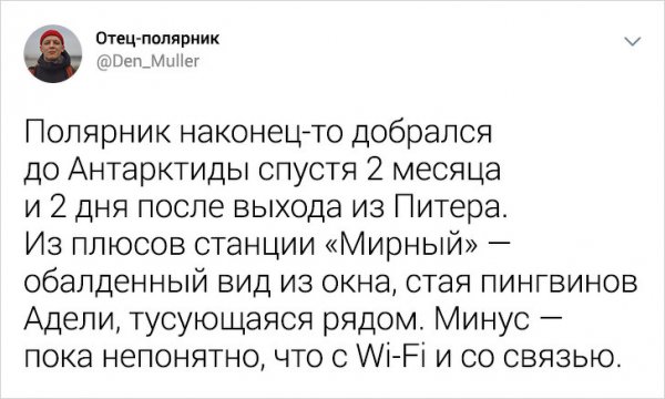 Подборка интересных твитов от полярника (25 фото)