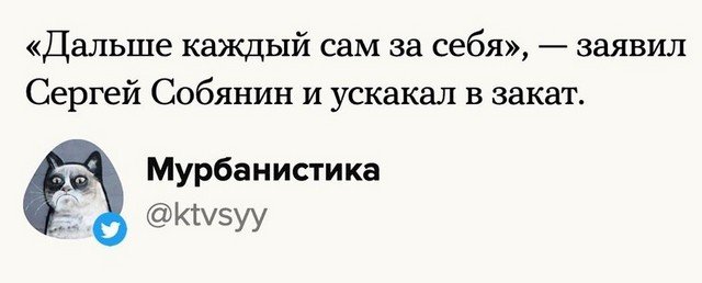 Собянин отменил карантин и победил коронавирус: лучшие мемы (12 фото)