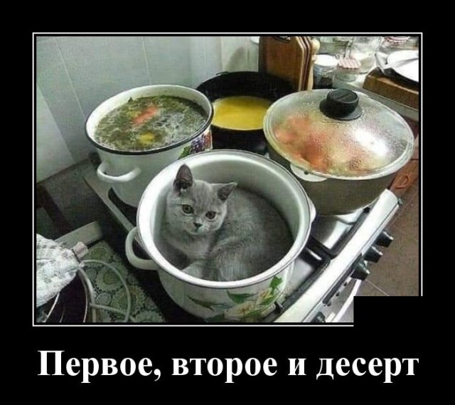Демотиваторы (20 фото)