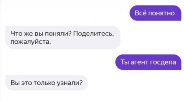 Забавные и безумные переписки с виртуальным помощником (13 фото)