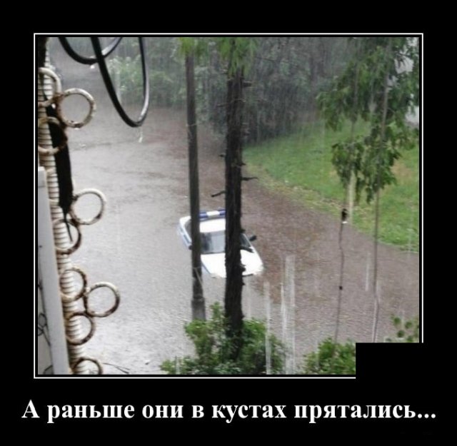 Демотиваторы №2397 (20 фото)