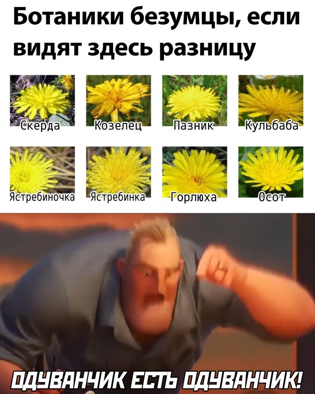 Подборка прикольных фото (66 фото)
