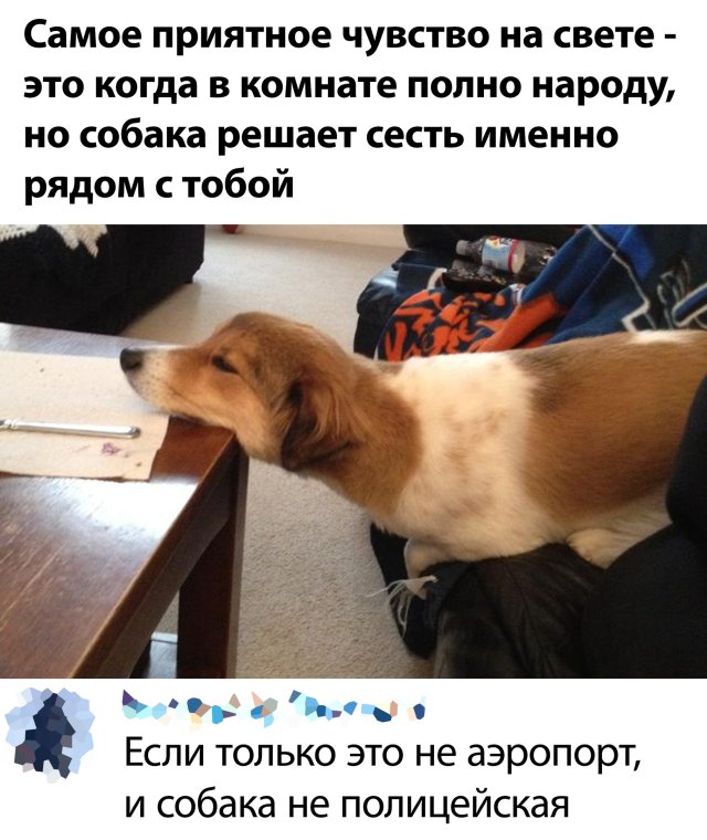 Подборка прикольных фото (64 фото)