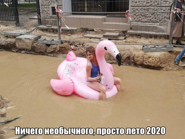 Подборка прикольных фото (62 фото)