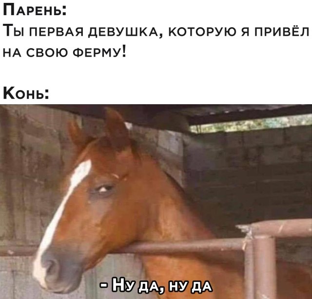 Подборка прикольных фото (61 фото)