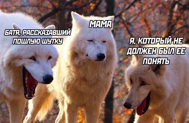 Подборка прикольных фото №2405 (66 фото)
