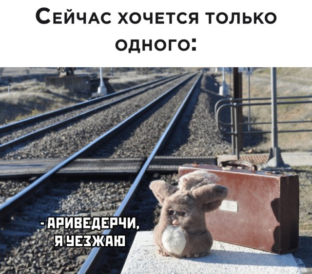 Подборка прикольных фото (63 фото)