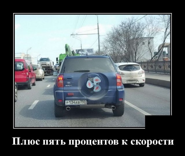 Демотиваторы (20 фото)