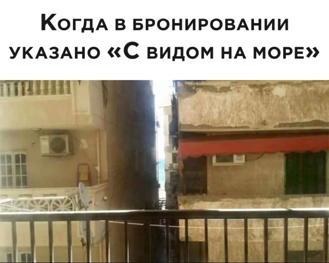 Подборка прикольных фото №2411 (63 фото)