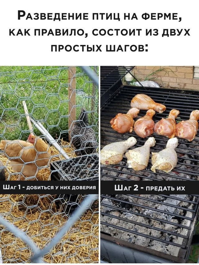 Подборка прикольных фото (64 фото)