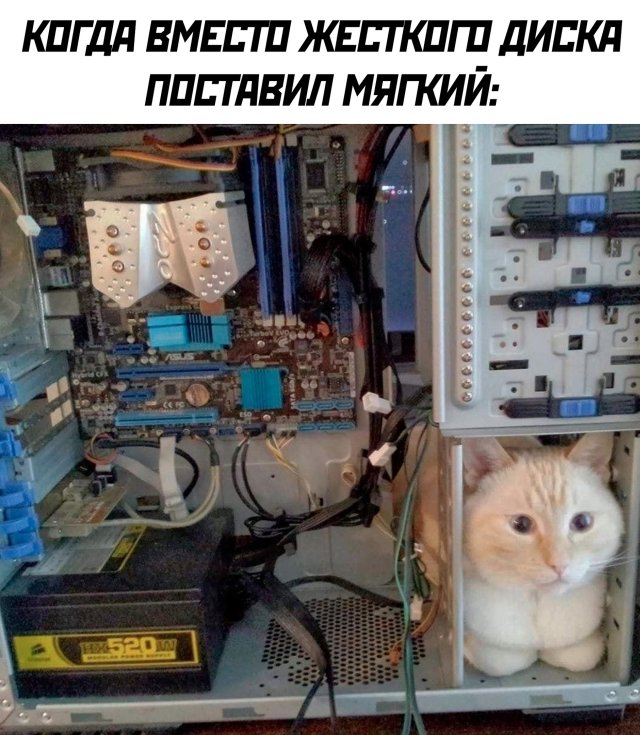 Подборка прикольных фото №2418 (65 фото)