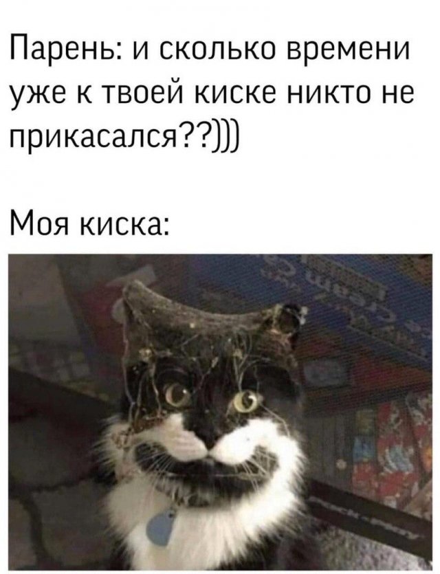 Шутки и мемы про "это" (15 фото)