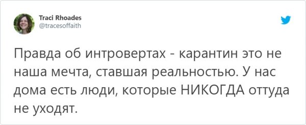 Сходка пользователей-интровертов в Твиттере (15 фото)