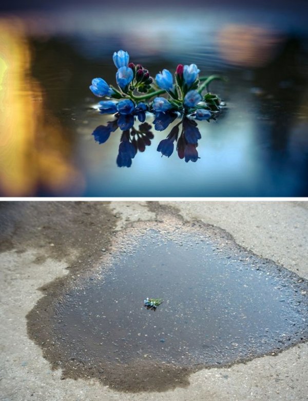 Всемогущая сила ракурса (15 фото)