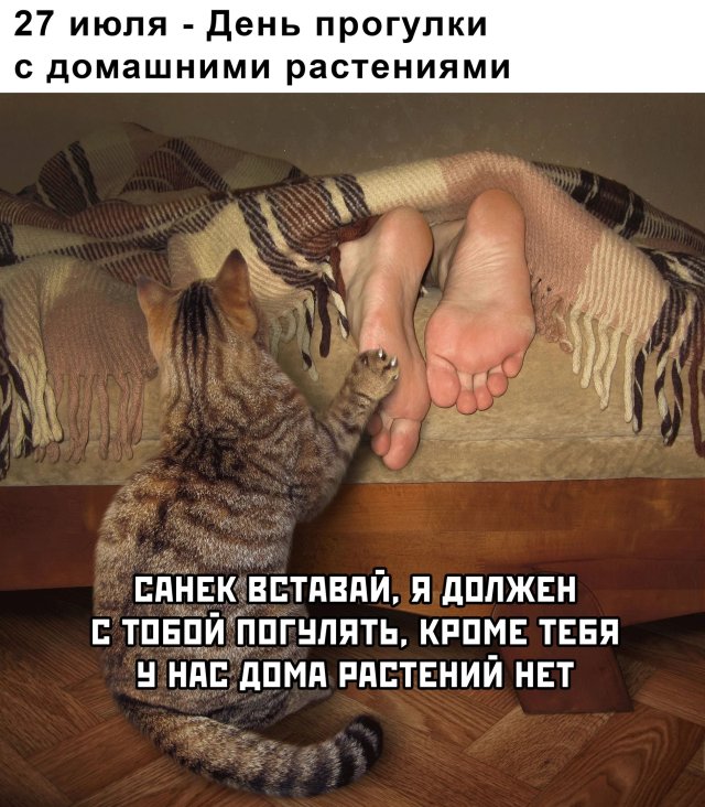 Подборка прикольных фото (65 фото)