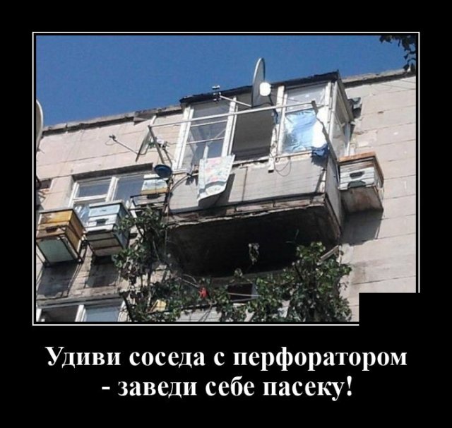 Демотиваторы №2420 (20 фото)