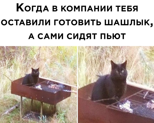 Подборка прикольных фото №2421 (69 фото)