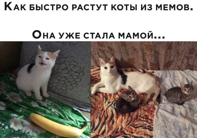 Подборка прикольных фото №2422 (61 фото)
