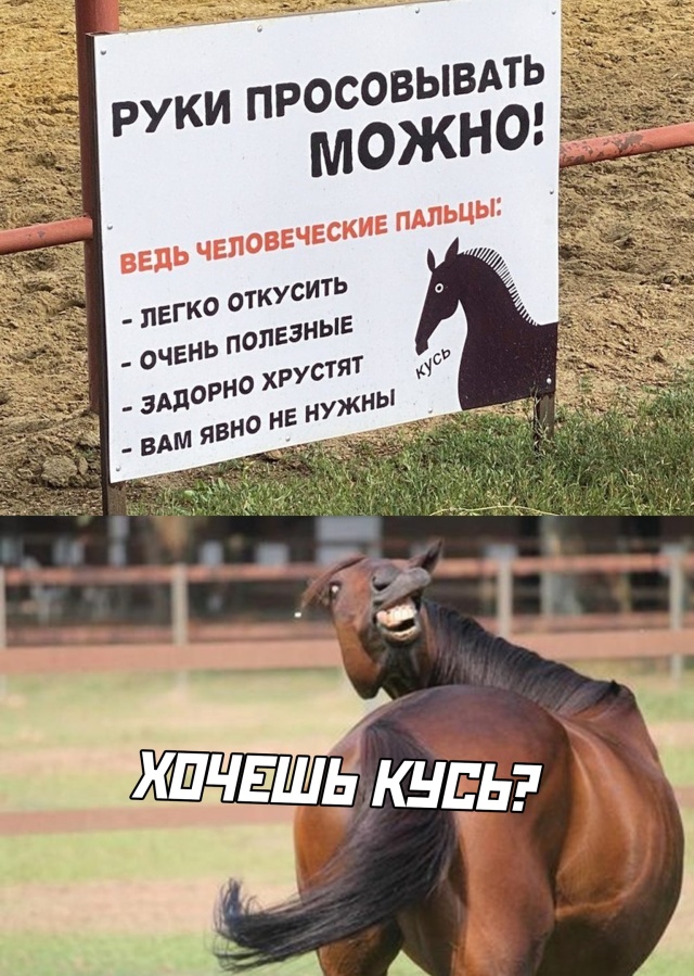 Подборка прикольных фото (64 фото)
